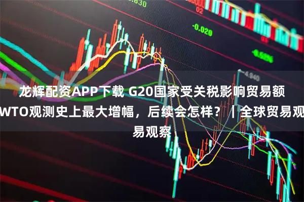 龙辉配资APP下载 G20国家受关税影响贸易额创WTO观测史上最大增幅，后续会怎样？｜全球贸易观察