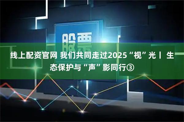 线上配资官网 我们共同走过2025“视”光丨 生态保护与“声”影同行③