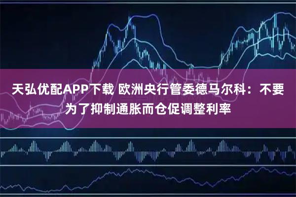 天弘优配APP下载 欧洲央行管委德马尔科：不要为了抑制通胀而仓促调整利率
