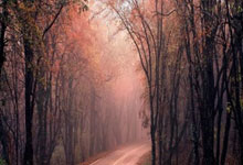 顺市配资官网:正规杠杆平台-万科：上半年实现营收1053.2亿元 新增计提存货跌价准备51.1亿元