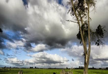 股票开户一般选哪家:炒股加杠杆能加多少倍-7月4日晚间沪深上市公司重大事项公告最新快递